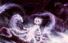 dragon, white hair