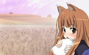wolf girls, Holo, anime girls, Spice and Wolf