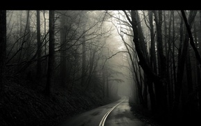 trees, dark, road, nightmare, eerie, nowhere