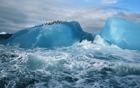 iceberg, sea