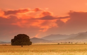 clouds, landscape, hill, field, sunset, orange