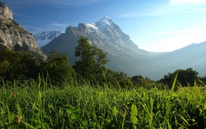 landscape, snowy peak, grass, trees, nature, mountain