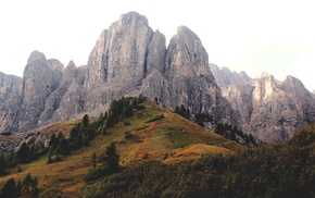 trees, mountain, hill, nature