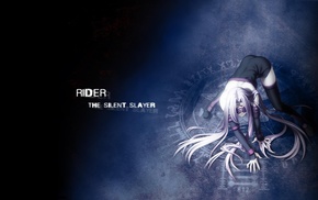 Rider FateStay Night, Fate Series