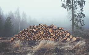 wood, mist, log