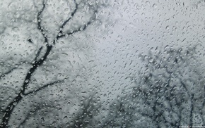rain, water on glass