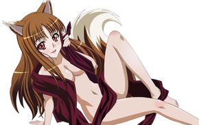 anime girls, wolf girls, anime, Spice and Wolf, Holo