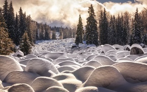 landscape, winter, nature, snow