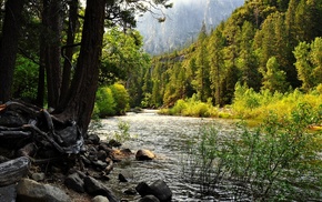 water, trees, rock, landscape, nature