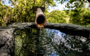 nature, water, water drops