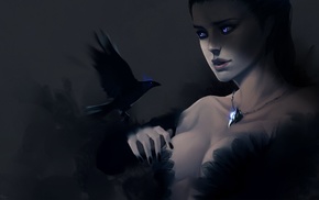 drawing, crow