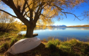 trees, lake, boat