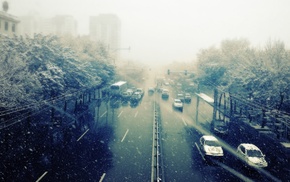 road, trees, snow