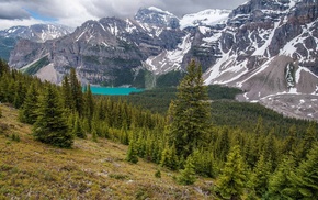 green, mountain