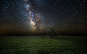 night, field, landscape, trees