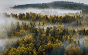 mountain, mist, landscape, forest, trees, nature
