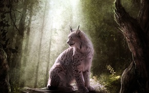 animals, lynx, fantasy art