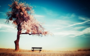 trees