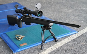 7.62x51, Target rifle, sniper rifle, gun