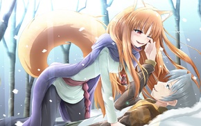 anime, wolf girls, anime girls, Spice and Wolf, Holo