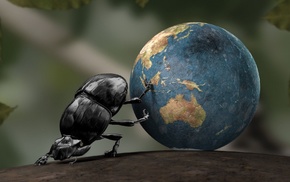 Dung beetle, insect, crabs, Earth, CGI