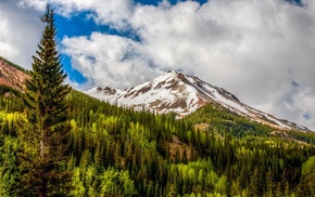 nature, Colorado, landscape, mountain, snowy peak, pine trees