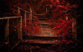fence, nature, shrubs, stairs, fall, path