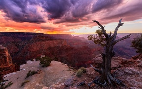 sunset, canyon, landscape, clouds, Arizona, trees