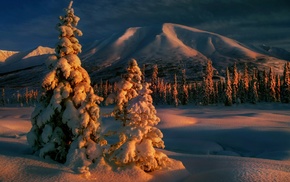 sunrise, nature, winter, mountain, forest, trees