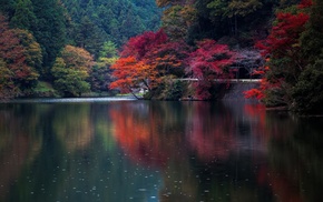 fall, nature, Japan, water, colorful, trees