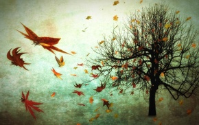 fall, trees, photo manipulation