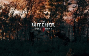 The Witcher 3 Wild Hunt