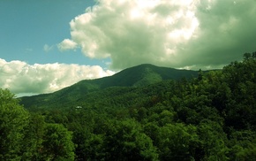 landscape, forest, Tennessee, Smoky Mountains, mountain