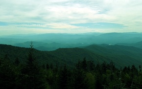 forest, landscape, mountain, Tennessee, Smoky Mountains