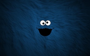 fur, blue, Cookie Monster