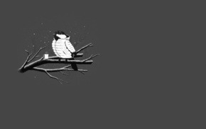 cold, birds, branch, minimalism, gray