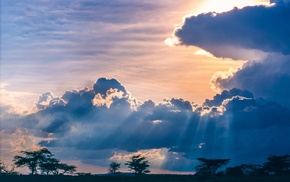 landscape, clouds, trees, blue, Africa, sun rays