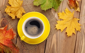 fall, table, maple leaves, coffee, mugs