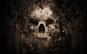 skull, artwork