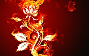 flowers, fire