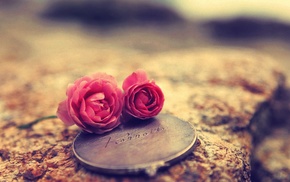 love, rose