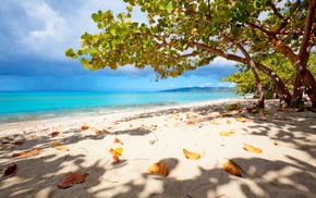 trees, clouds, nature, Virgin Islands, shadow, leaves