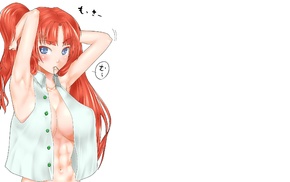 Touhou, blue eyes, Hong Meiling, cleavage, abs, open shirt