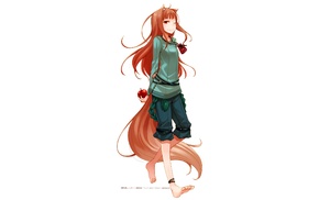 anime, kitsunemimi, long hair, tail, wolf girls, apples