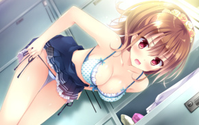 undressing, Koi Suru Kimochi no Kasanekata, Narumi Akane, anime girls, visual novel, bikini