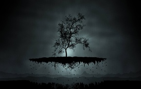 trees