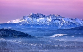 Slovakia, landscape, forest, snow, mountain, pink