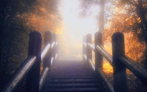 landscape, fence, sunlight, stairs, trees, fall