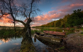 forest, calm, boat, reeds, clouds, trees