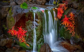 waterfall, nature, red, landscape, moss, leaves